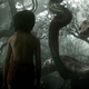 Illustration for article titled iThe Jungle Book/i is already getting a sequel